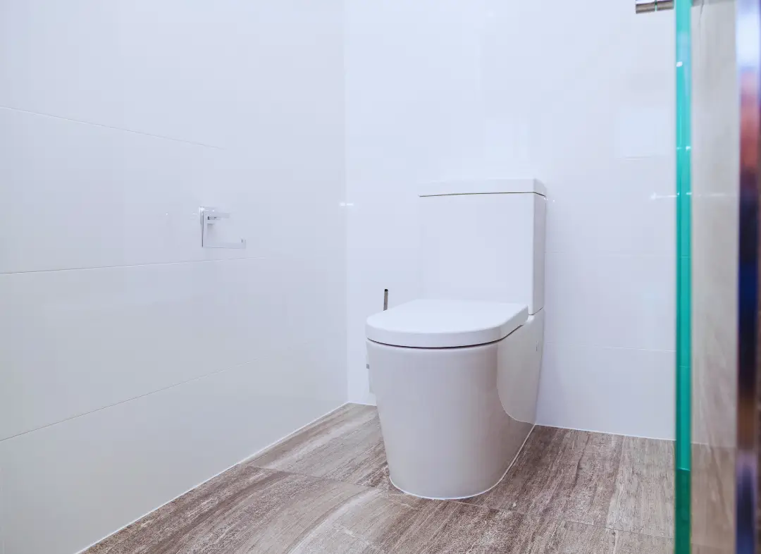 Remplacement de wc Chemillé-en-Anjou